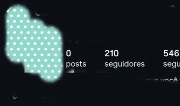 Conta com mais de 200 seguidores verdadeiros (2024)