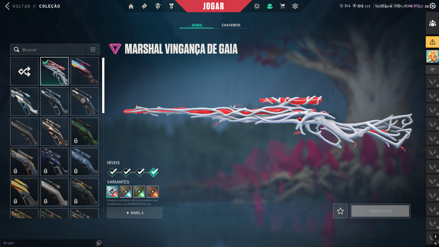CONTA DE VALORANT +DE R$2800 GASTOS EX D1