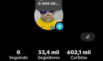 CONTA DE TIKOK MONETIZADA 33,4K DE SEGUIDORES E 602,1K DE CURTIDAS