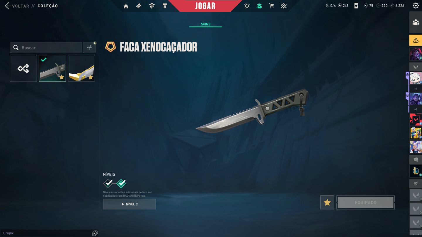 Conta valorant unico dono, ascendente, varias skins