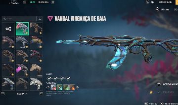 CONTA VALORANT IMT1 10+ VANDAL