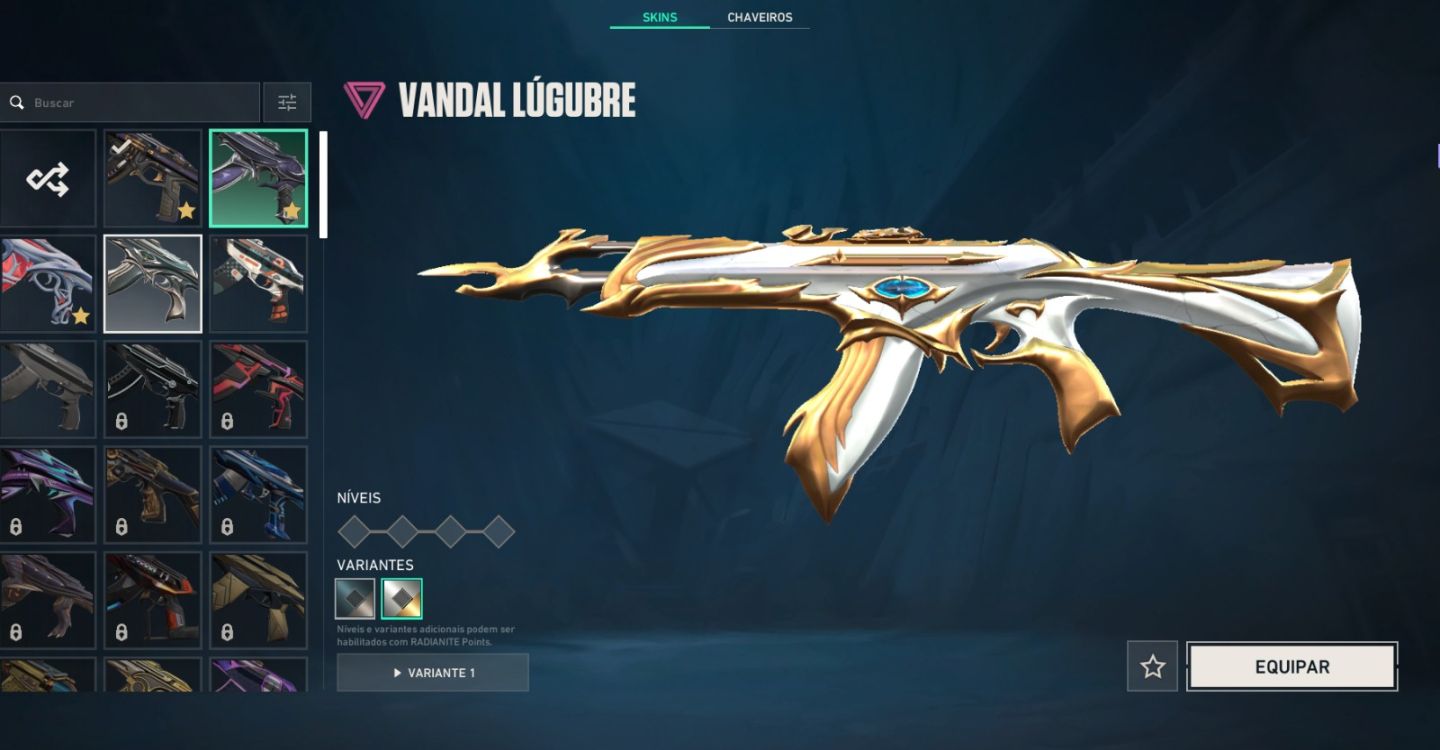 [CONTA VALORANT COM MUITAS SKINS, COMBO VANDAL PRELUDIO + XENOHUNTER NIVEL 246]