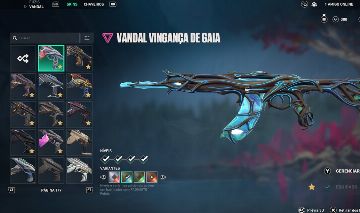 Conta valorant 10+ vandal imt1