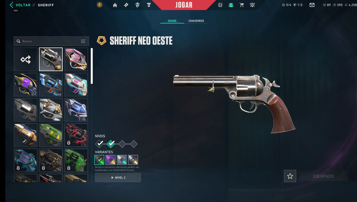 Conta Valorant Muitas Skins