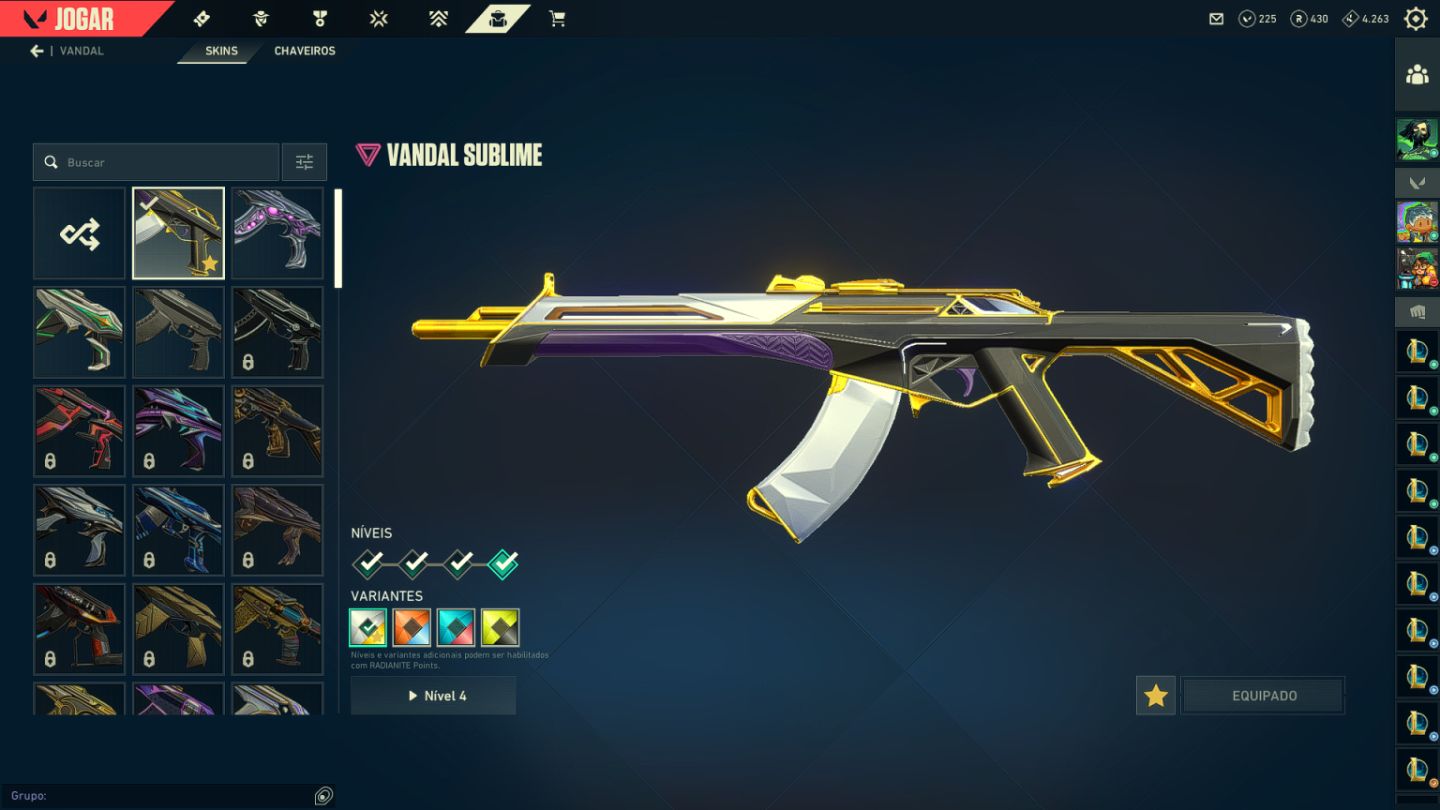 CONTA VALORANT - KARAMBIT ÍON E OUTRAS SKINS! (FULL ACESSO) + E-MAIL VINCULADO!