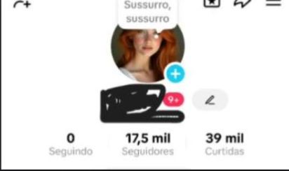 CONTA 17K DE SEGUIDORES REAIS ALTA QUALIDADE E ENGAJAMENTO (+GARANTIA+PROMOÇÃO