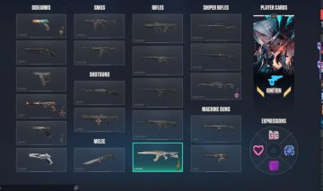Conta valorant full acesso, level 205