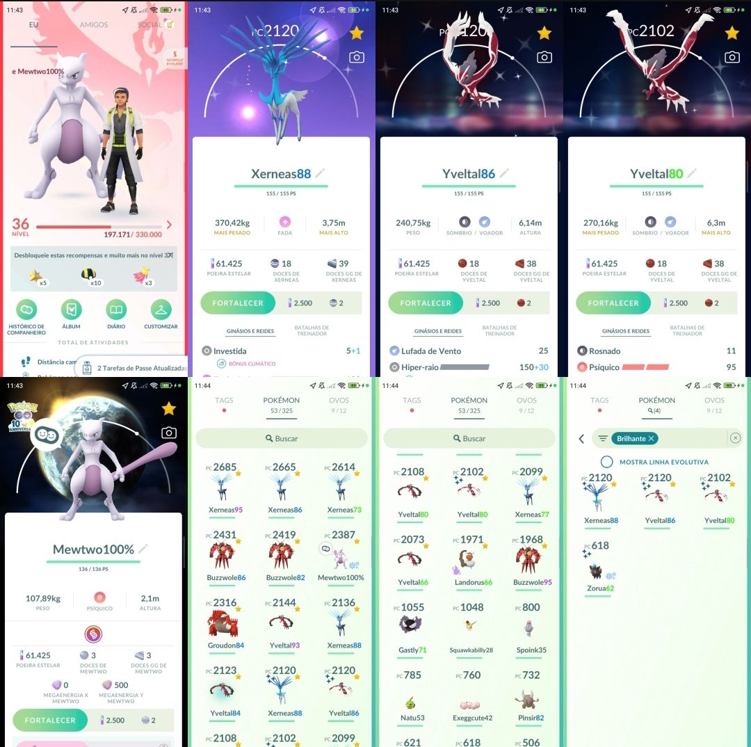 Pokémon Go L36 |Mewtwo 100% c/Fundo | 14 Lendários |Xerneas e Yveltal Shiny Q264
