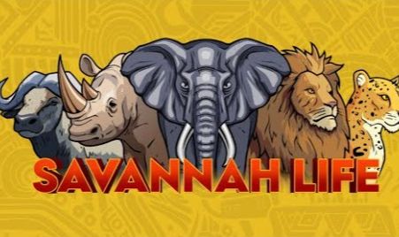 [90% DE DESCONTO] SAVANNAH LIFE | SAVANA LIFE CONTAS