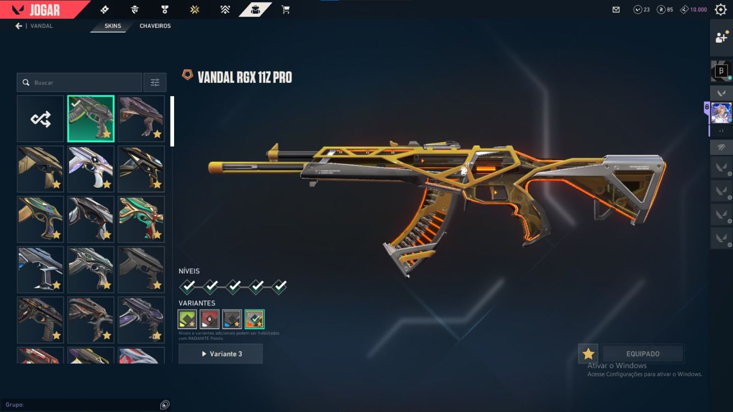CONTA COM DIVERSAS SKINS E CARDS DO BETA