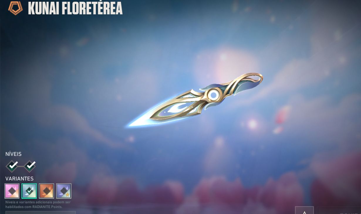 CONTA VALORANT +1400 GASTOS (VALOR NEGOCIAVEL)