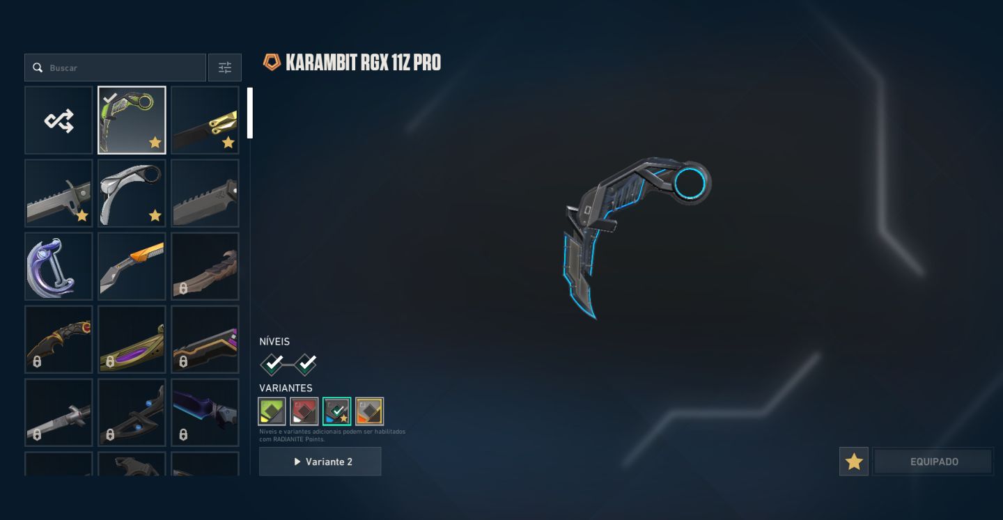 CONTA VALORANT ASCENDENTE KARAMBIT RGX + CHAMPIONS 2022 + XENO CAÇADOR