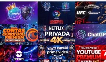 Ufc /Netflix/gemini/