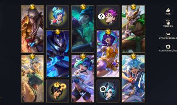 Conta 176 skins