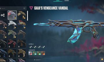 (PRA HOJE) CONTA VALORANT IMORTAL 1300R$ GASTOS + 7 SKINS DE VANDAL E MAIS