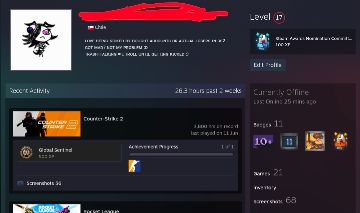 CONTA CS2 COM 11 MEDALHAS,11 ANOS DE SERVIÇO,FACEIT E GC E VEM FULL DADOS