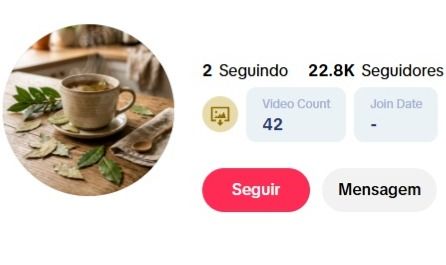 Conta tiktok monetizada BR