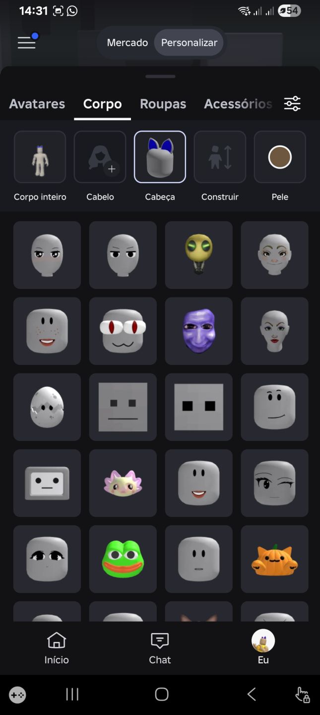 CONTA DE ROBLOX COM DIVERSOS AVATARES + BLOX FRUITS