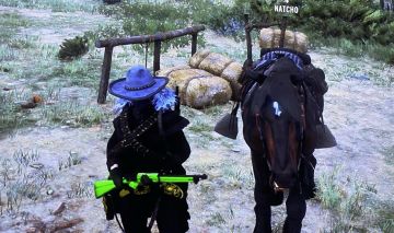 Conta Red Dead Feminina | Ouro + Dinheiro