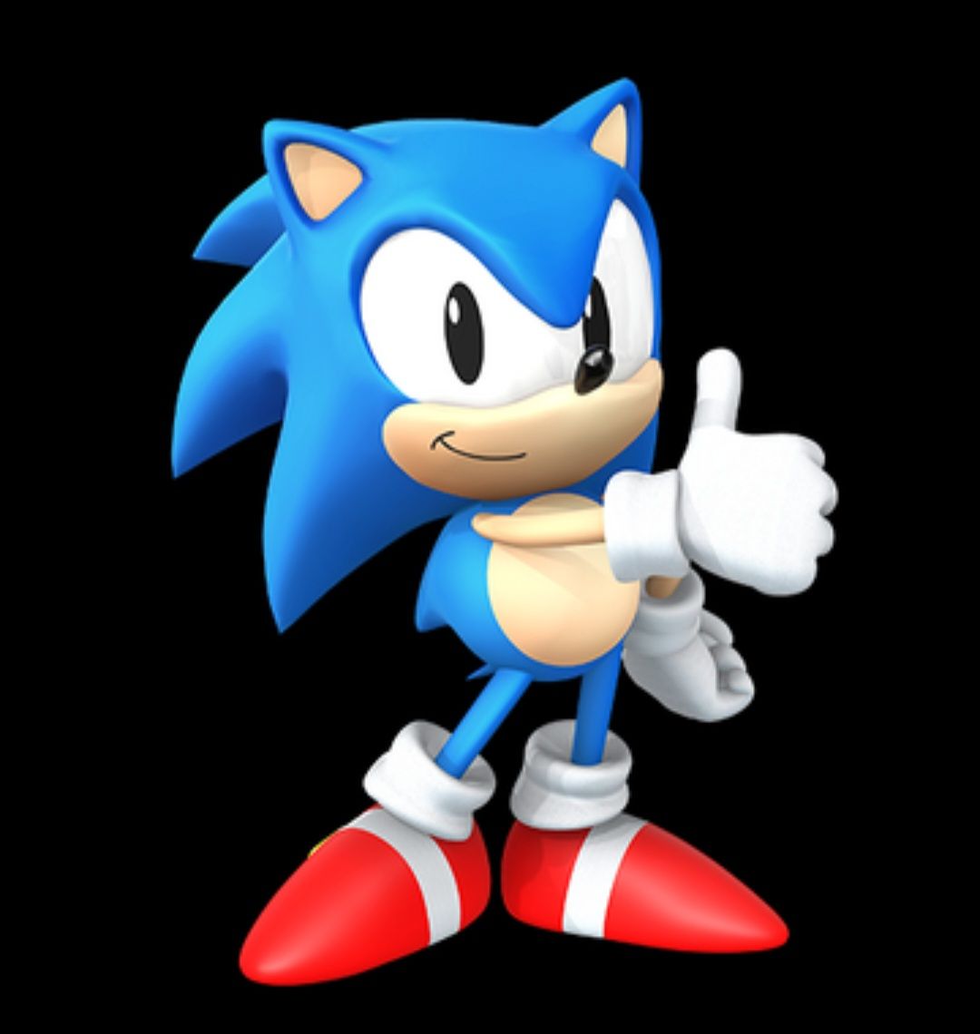 SKINS ( SONIC SPEED SIMULATOR)