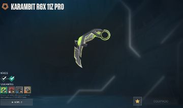 Conta, 13 skins R$1200 investidos, peek platina, login aleatório, não vinculado.