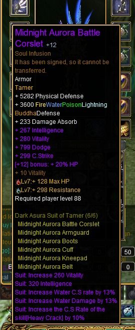 Tamer Full DR PvE +12