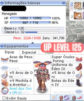 RAGNAROK LATAM - SERVIÇO DE LEVELING 1 AO 250 MELHOR PREÇO (DESCONTO)