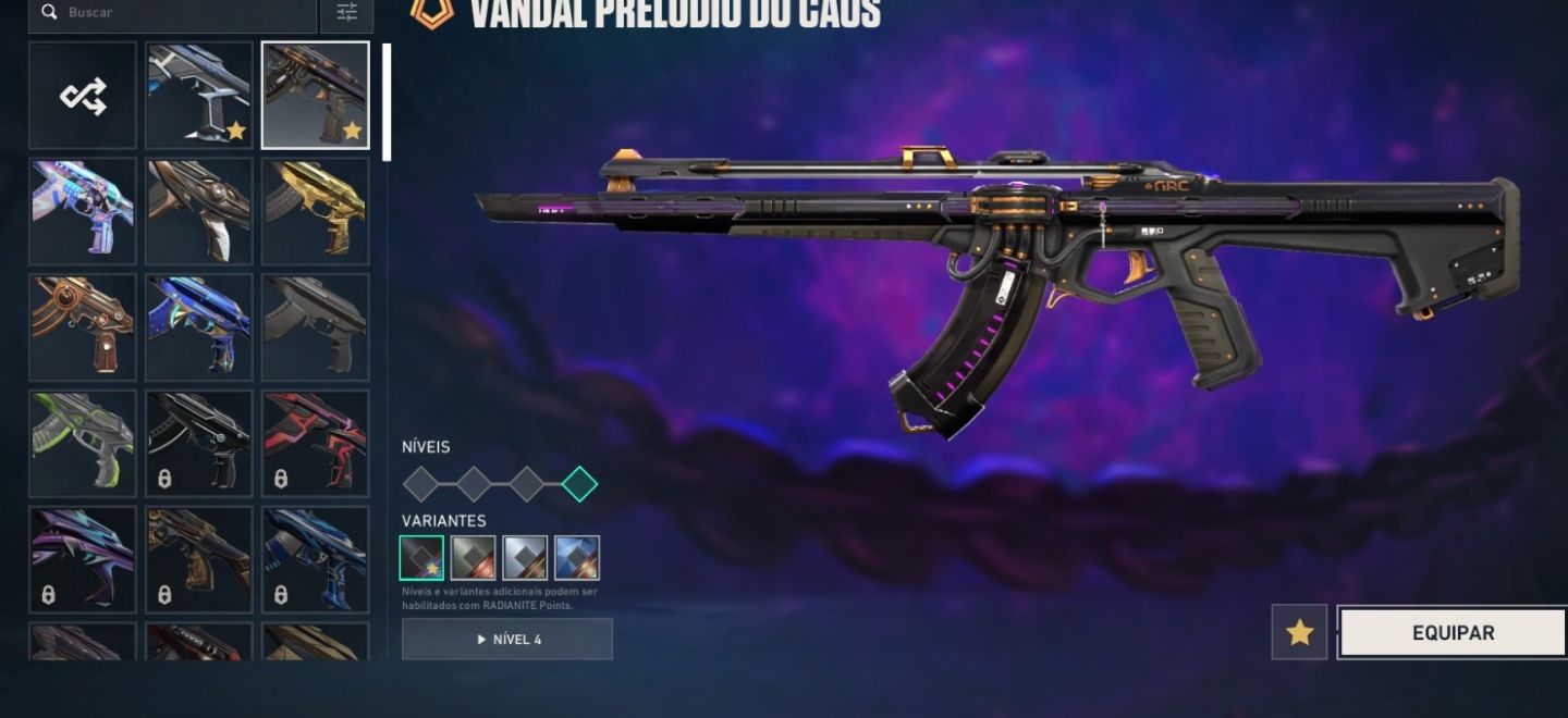 Conta valorant com varias skins inclusive skin rara champions