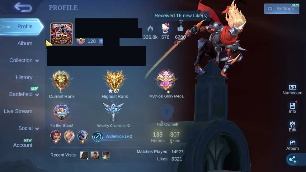 307 SKINS - FULL EMBLEMAS - FULL HEROIS