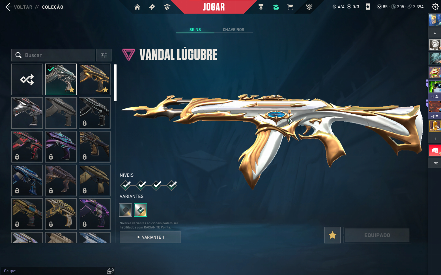 CONTA VAVA 2 SKINS VANDAL 1 SKIN FACA E 2 PASSES CONTA ASCENDENTE 1