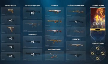 CONTA CUSTO BENEFICIO - BASTANTE SKINS!!!