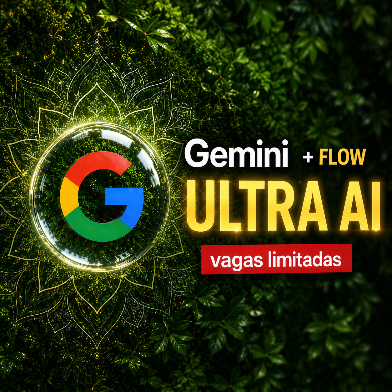 VEO 3.1 Plano AI PRO / ULTRA AI | GEMINI | FLOW [30 dias] [LINK 100% PRIVADO]