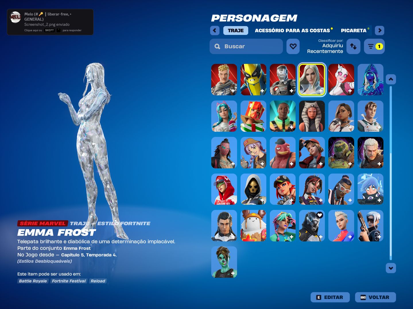 Conta de Fortnite rara e clean com picareta da alerquina.