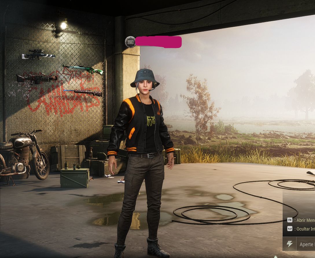 CONTA PUBG PC - 4 PROGRESSIVAS