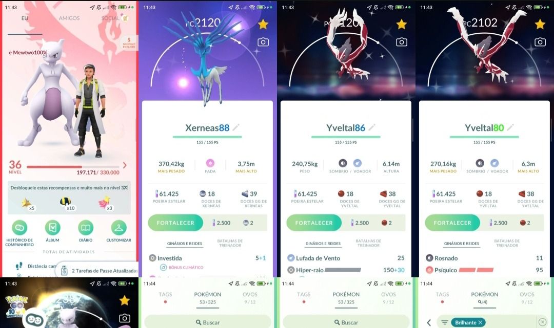 Pokémon Go L36 |Mewtwo 100% c/Fundo | 14 Lendários |Xerneas e Yveltal Shiny Q264