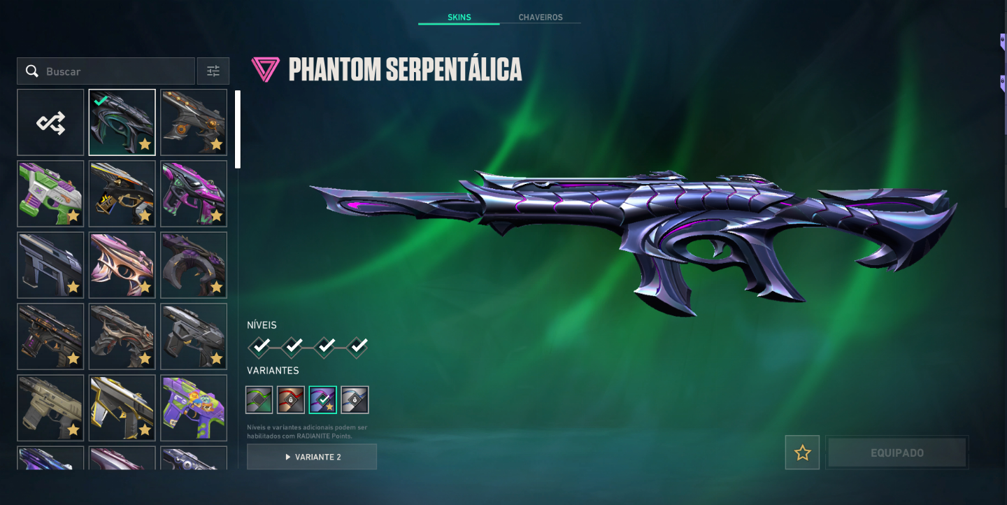 Conta valorant com bundles champions e diversas skins para vc se divertir