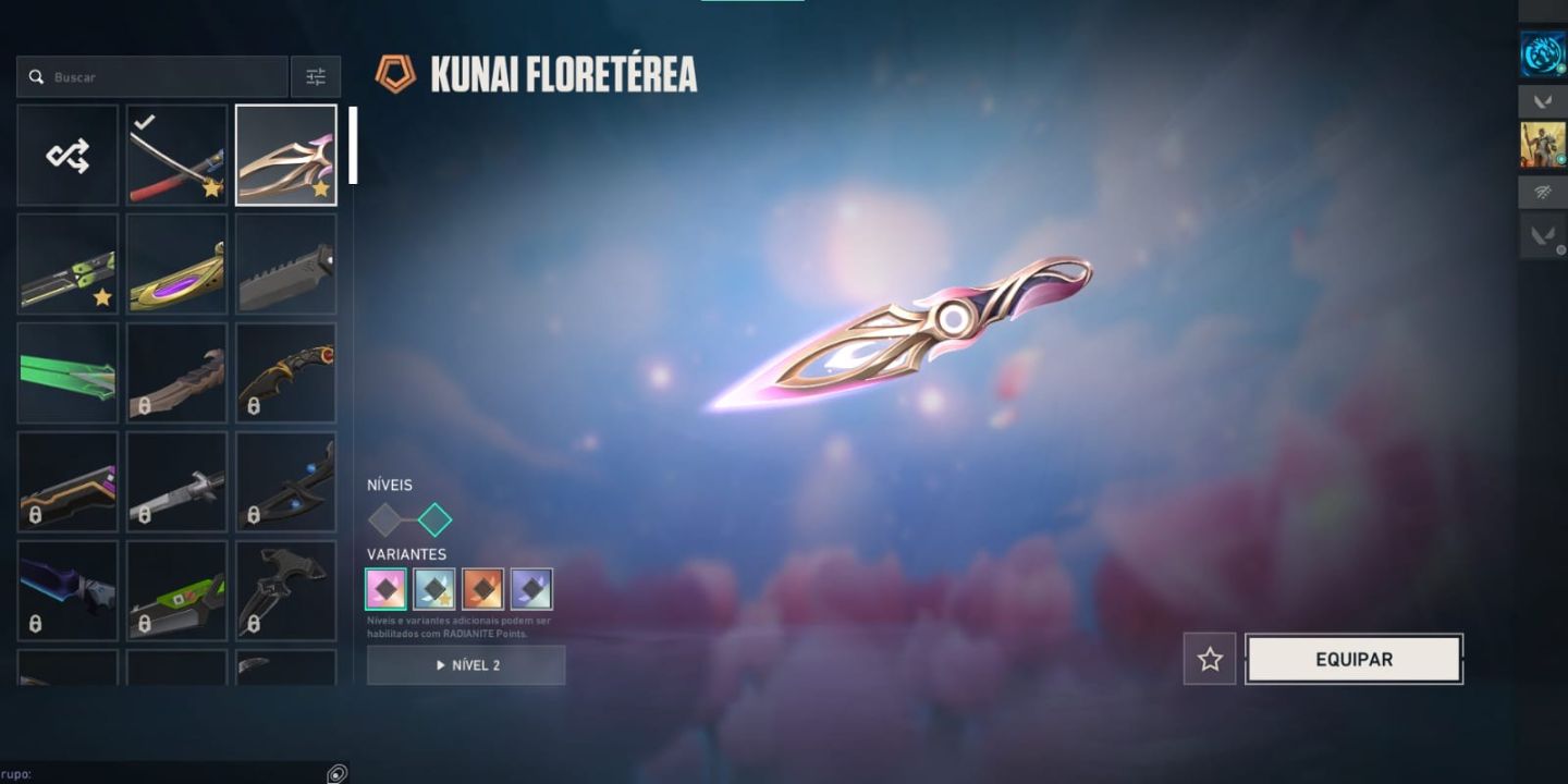 Conta Valorant Ascendente Full Acesso com Muitas Skins e Banners