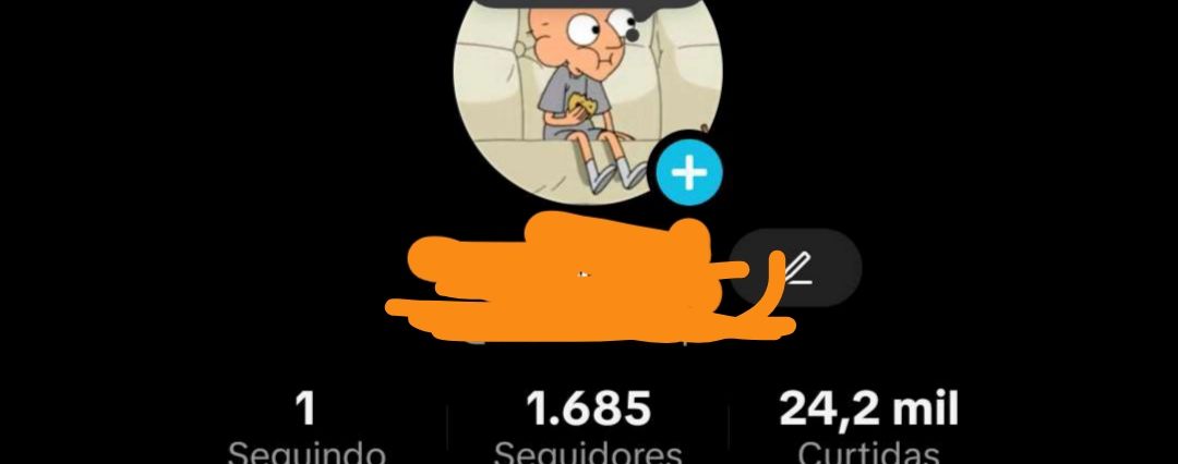 TikTok com 1.600 Seguidores