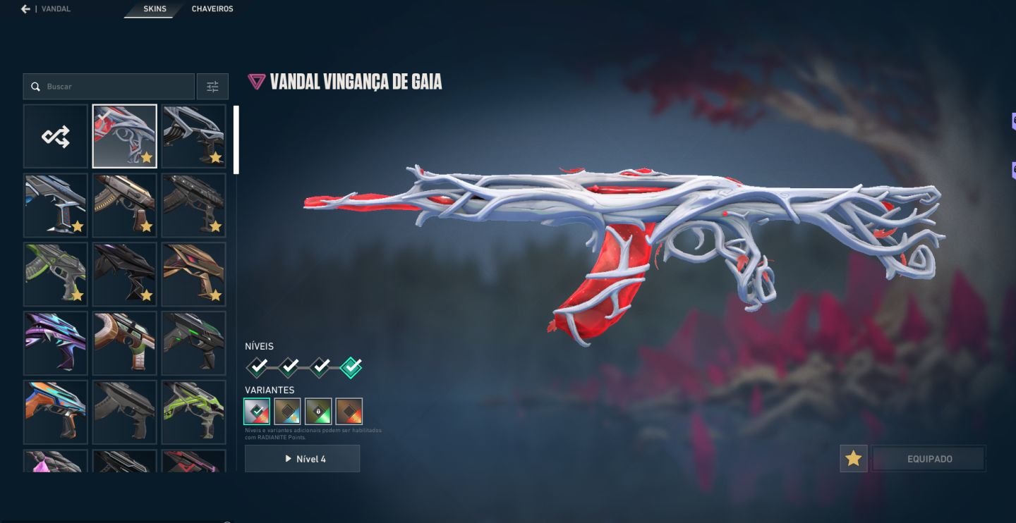 Conta de Valorant com 9 skin de vandal