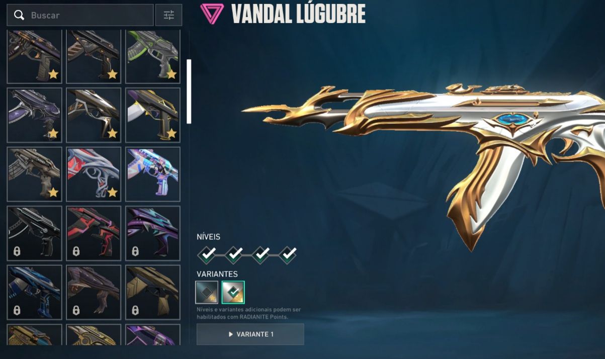 Conta Valorant 2k Gasto