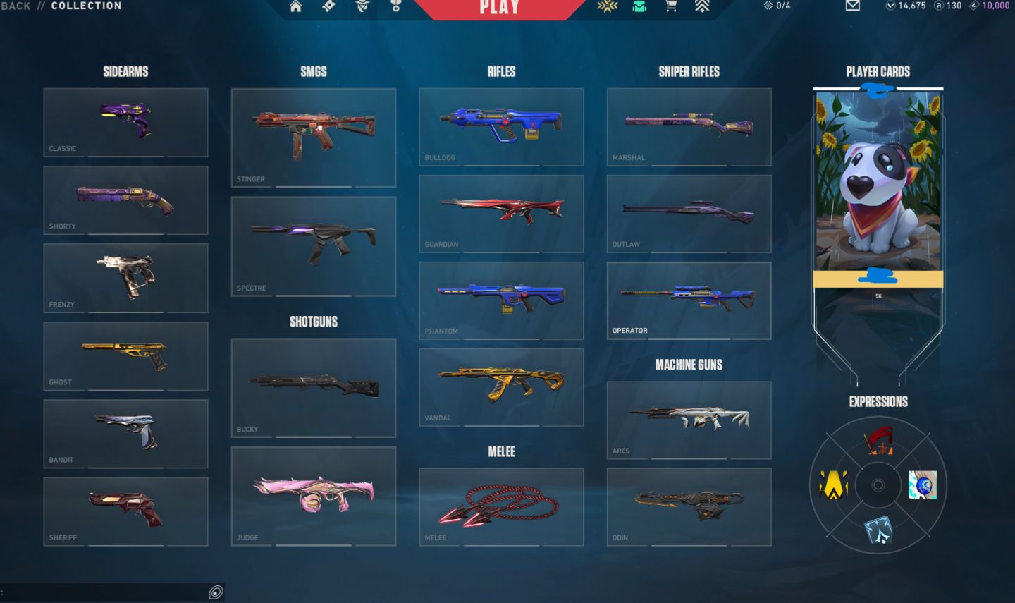 Conta de valorante cheia de skin e com vp