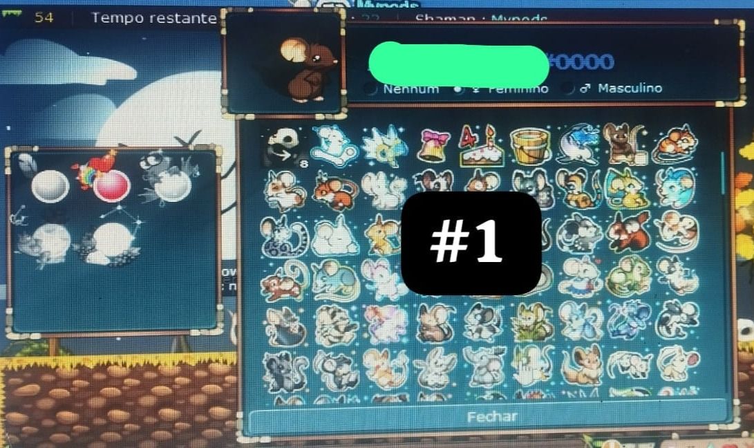 TRANSFORMICE CONTAS RARAS COM MUITOS PELOS, LEIAM A DESCRIÇÃO