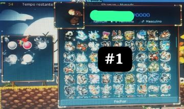 TRANSFORMICE CONTAS RARAS COM MUITOS PELOS, LEIAM A DESCRIÇÃO