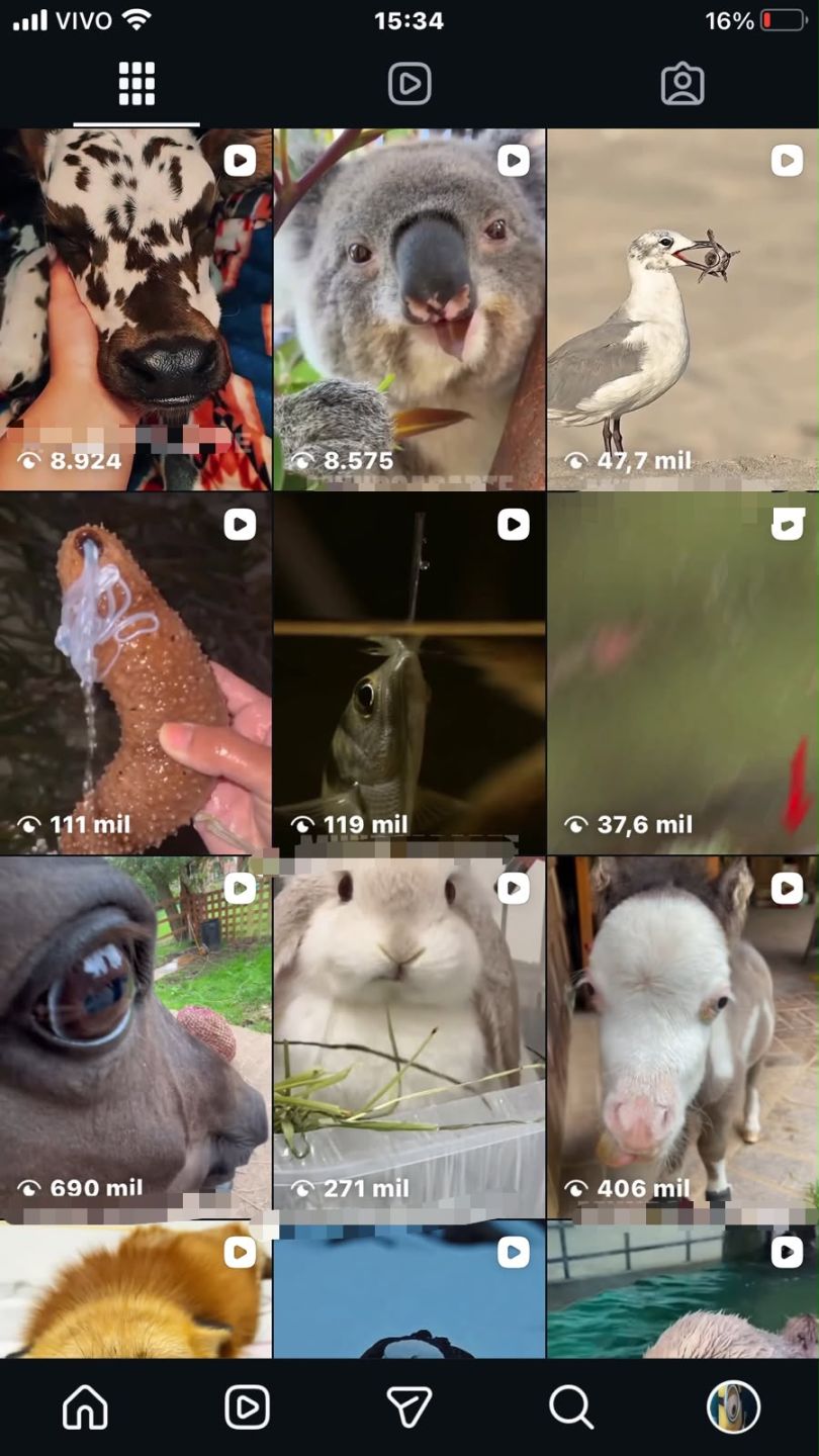 CONTA INSTAGRAM COM 24,2 MIL SEGUIDORES | IP BRASILEIRO