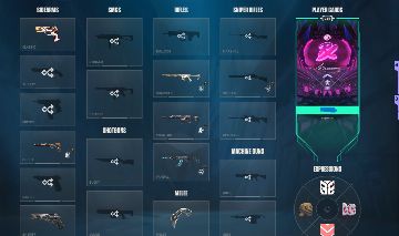 Conta valorant varias skin ,dono unico