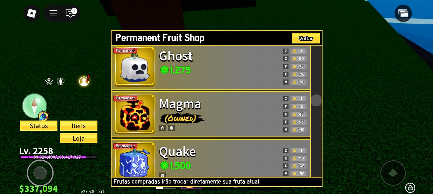 CONTA DE BLOX FRUIT DE NIVEL BAIXO