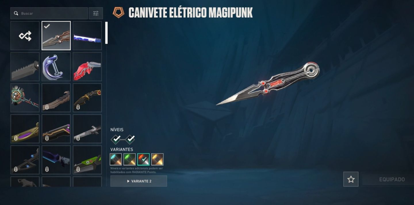 Conta valorant com varias skins inclusive skin rara champions