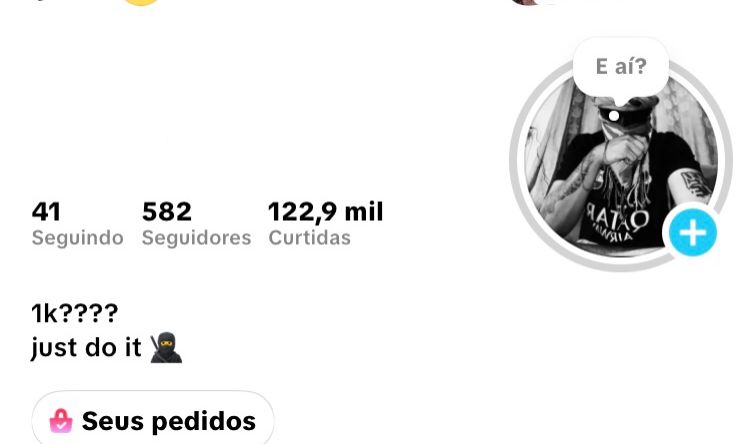 CONTA DO TIKTOK COM 582 SEGUIDORES E 122,9K DE CURTIDAS, TK ESTÚDIO + SHOPI