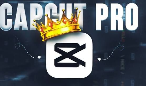 CAPCUT PRO PRIVADO 30 DIAS
