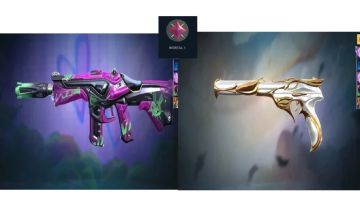 Conta Elo : Imortal Rank Ativo + Skins Tryhards
